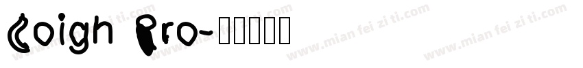 Coign Pro字体转换